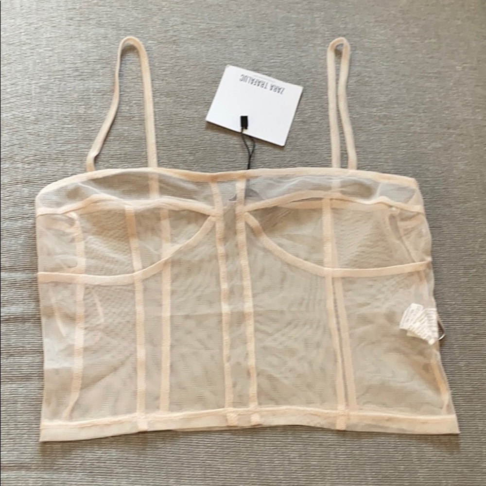 Zara Sheer Crop Top